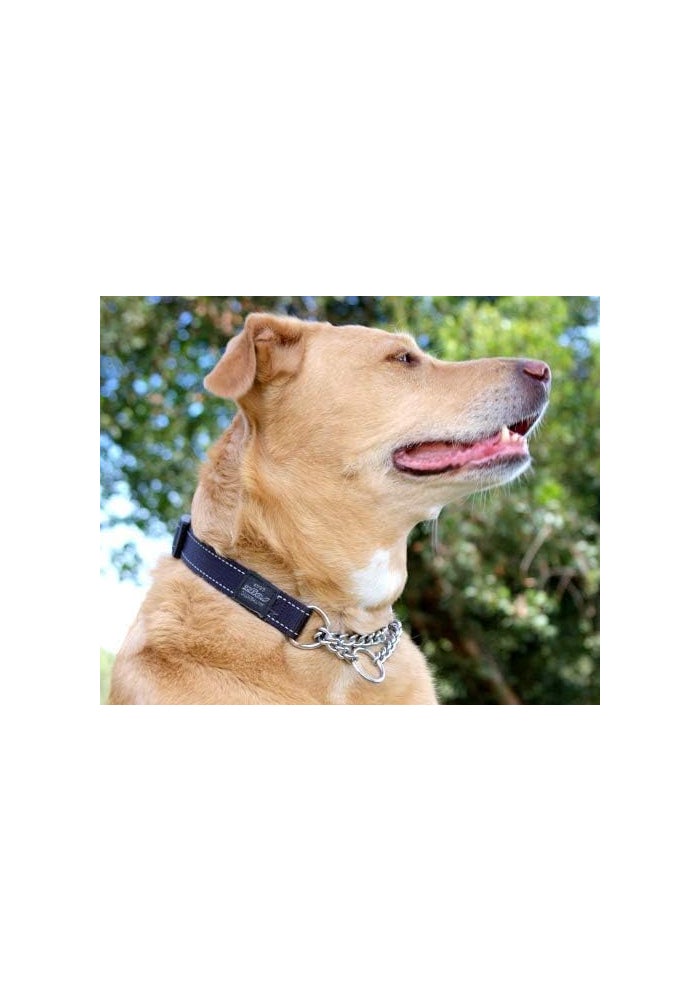 Rogz Utility Large 3/4-Inch Reflective Fanbelt Obedience Half-Check Dog Collar in Blue - Image 2